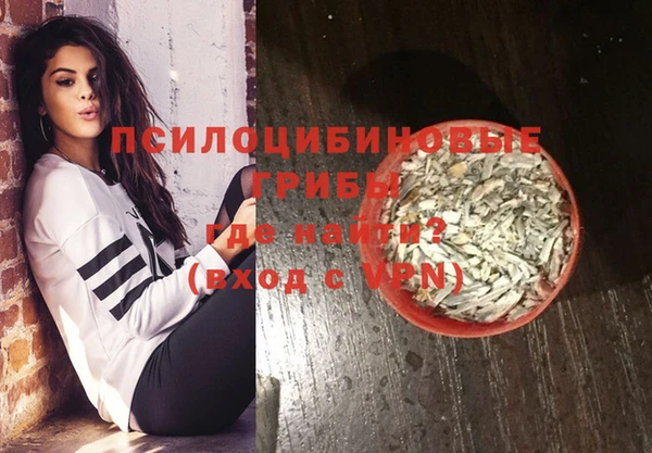 МДПВ Арсеньев