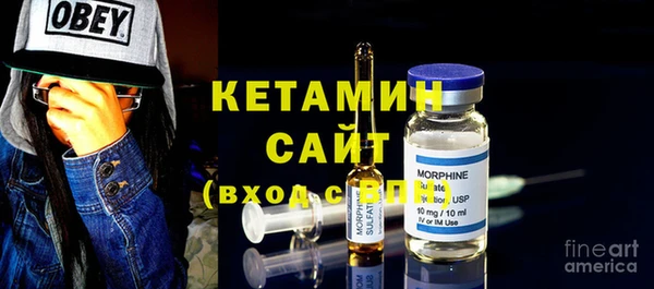 стаф Аркадак