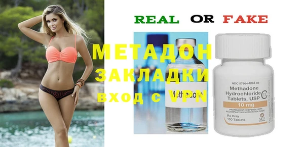 стаф Аркадак