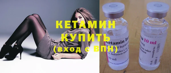 стаф Аркадак
