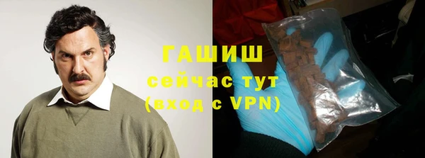 стаф Аркадак