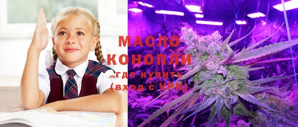стаф Аркадак