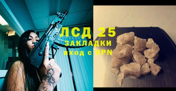стаф Аркадак